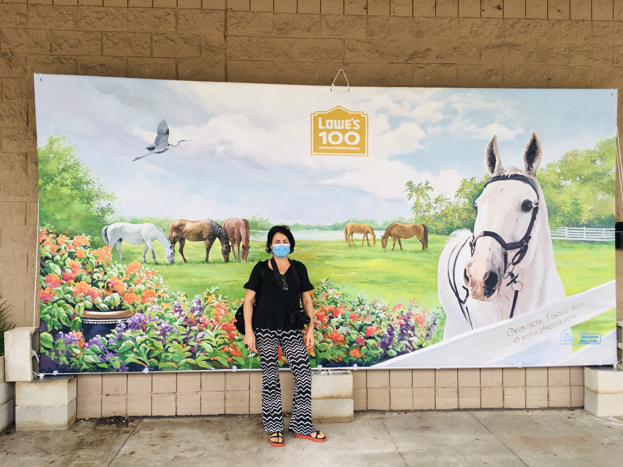 Horses Mural - Murals By Georgeta